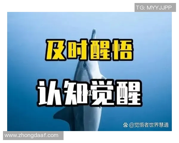 303神秘人揭开自由的面纱探索未知与自我解放的旅程 303神秘人揭开自由的面纱探索未知与自我解放的旅程