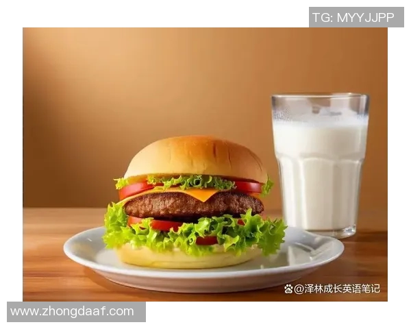 汉堡与帕圆的美味对决探寻两种风味的独特魅力与文化背景