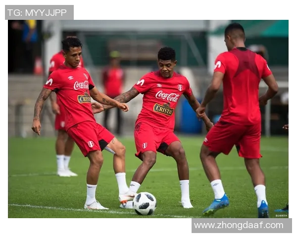 阿根廷与秘鲁实时对决精彩瞬间全记录与分析 阿根廷与秘鲁实时对决精彩瞬间全记录与分析