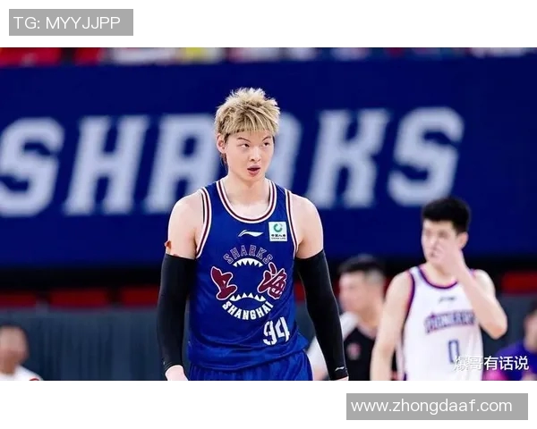 王哲林在篮球赛场的崛起与挑战解析他的职业生涯与未来发展方向 王哲林在篮球赛场的崛起与挑战解析他的职业生涯与未来发展方向