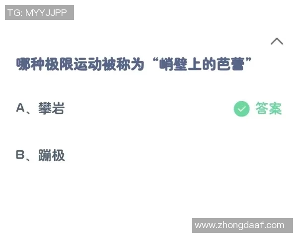 深圳极限运动队与成都极限运动队比赛复盘及经验分享分析